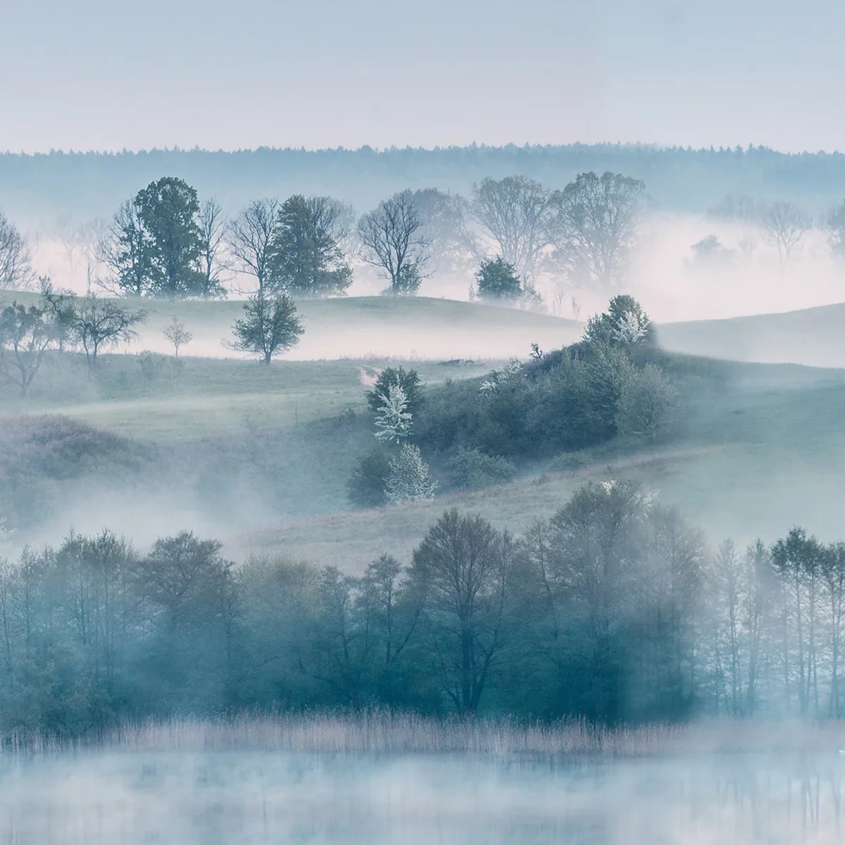 Tapetti Morning Haze