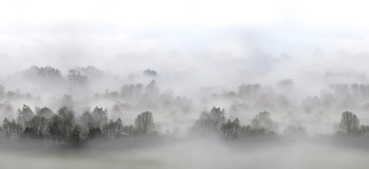 Tapetti Morning Fog
