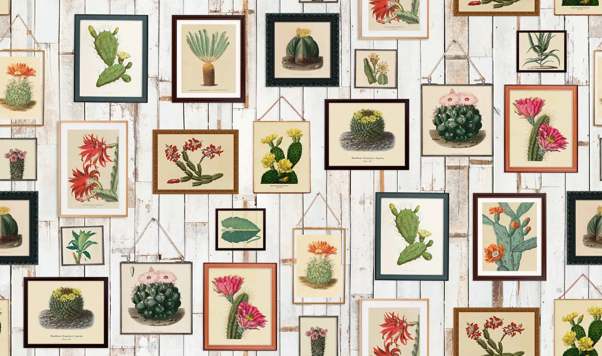 Tapetti Cactus Wall Art