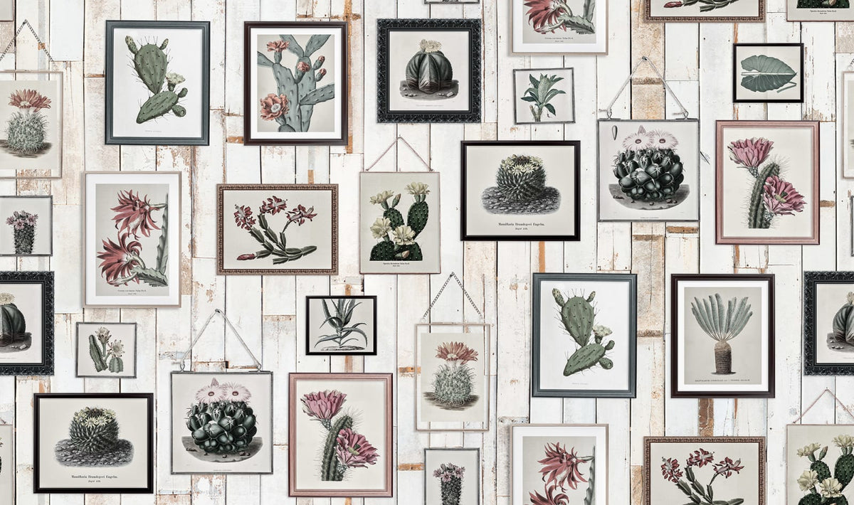 Tapetti Cactus Wall Art, Faded