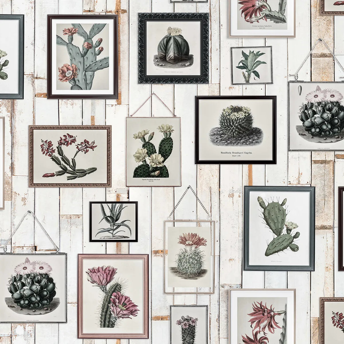Tapetti Cactus Wall Art, Faded