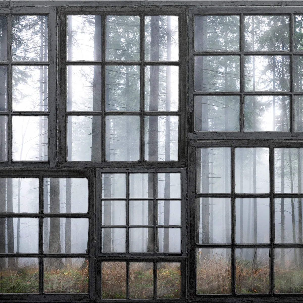 Tapetti Cabin