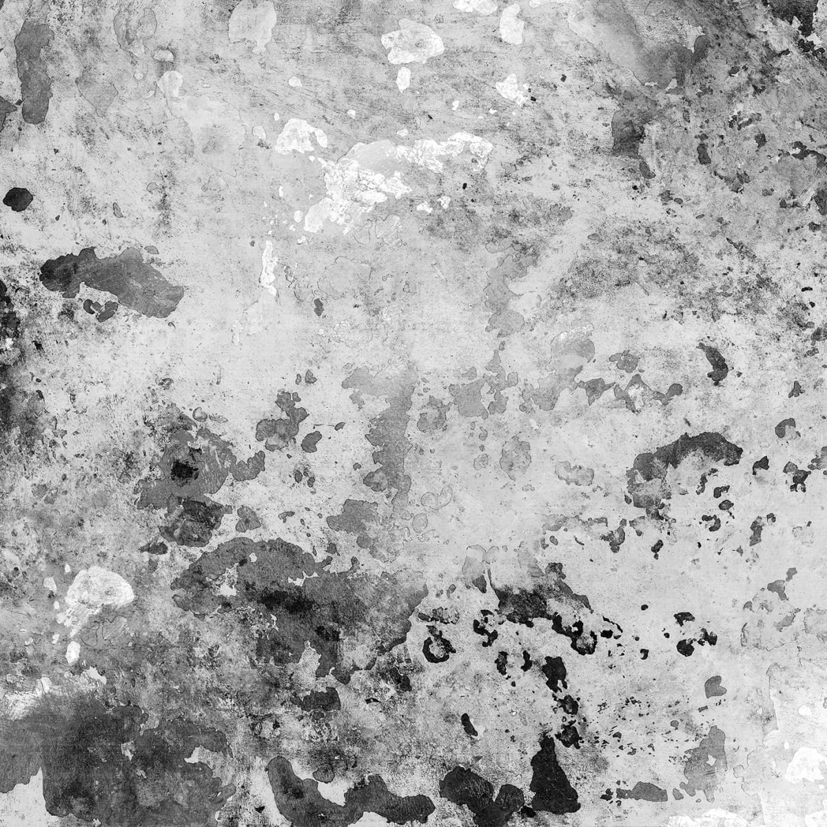 Tapetti Fragments, Charcoal