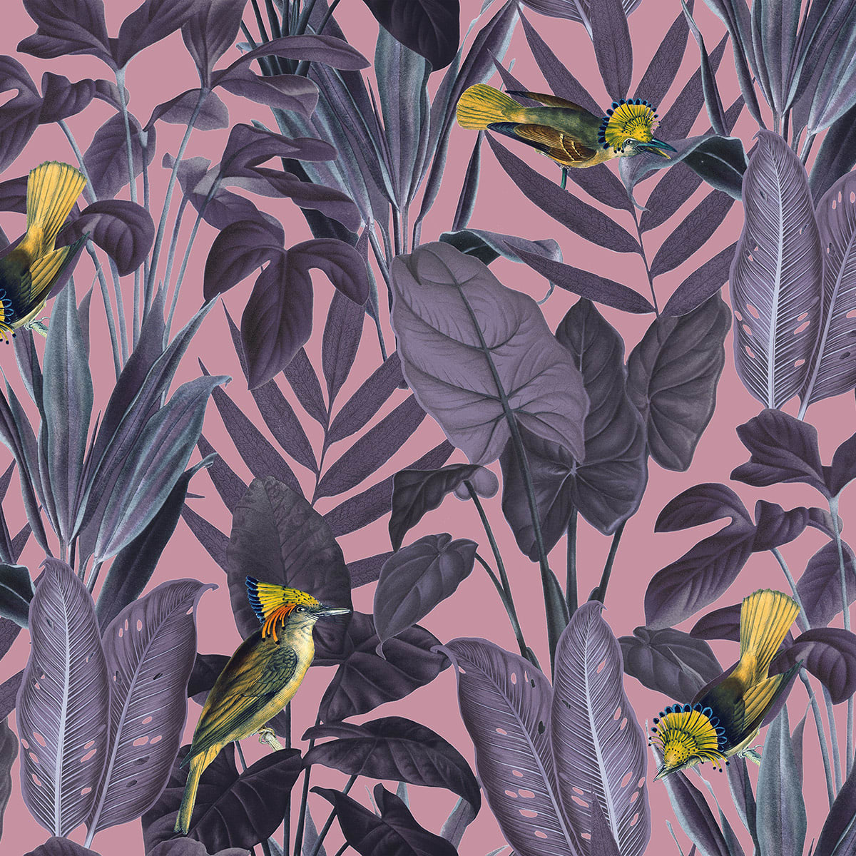 Tapetti Yellow Bird, Dusk