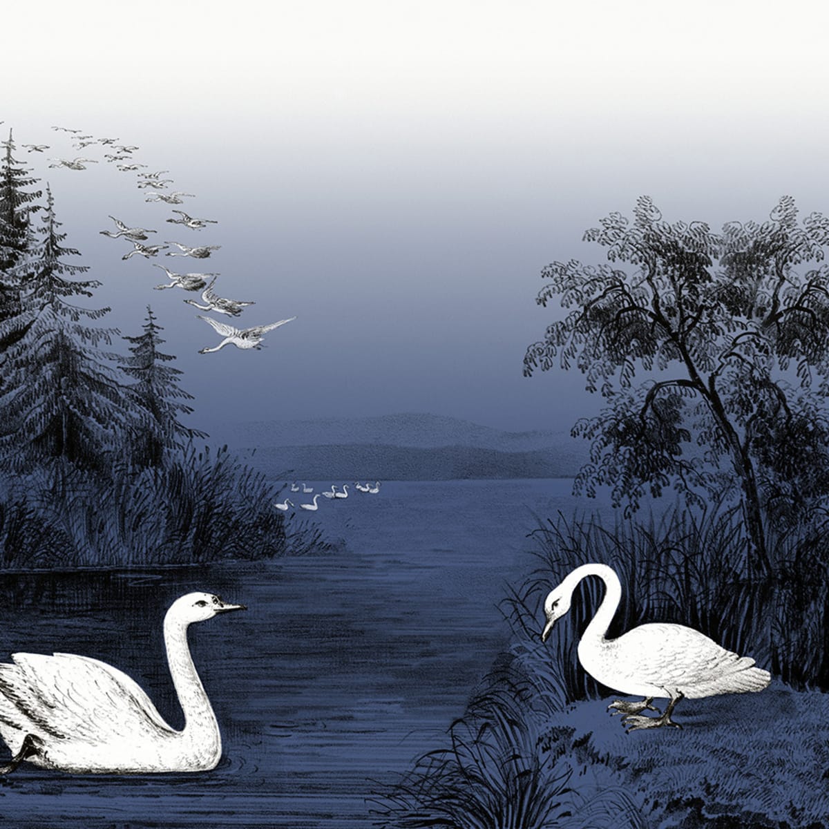 Tapetti Swan Lake, Nightfall