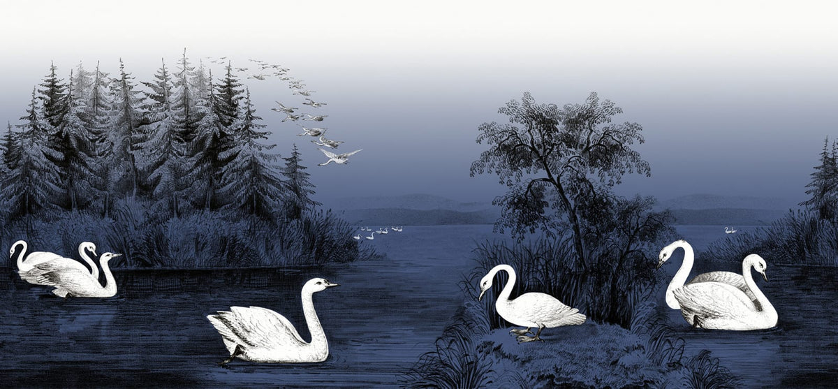 Tapetti Swan Lake, Nightfall