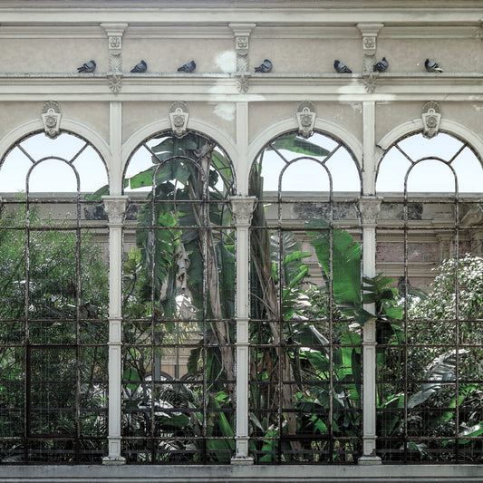 Tapetti Dove Gardens