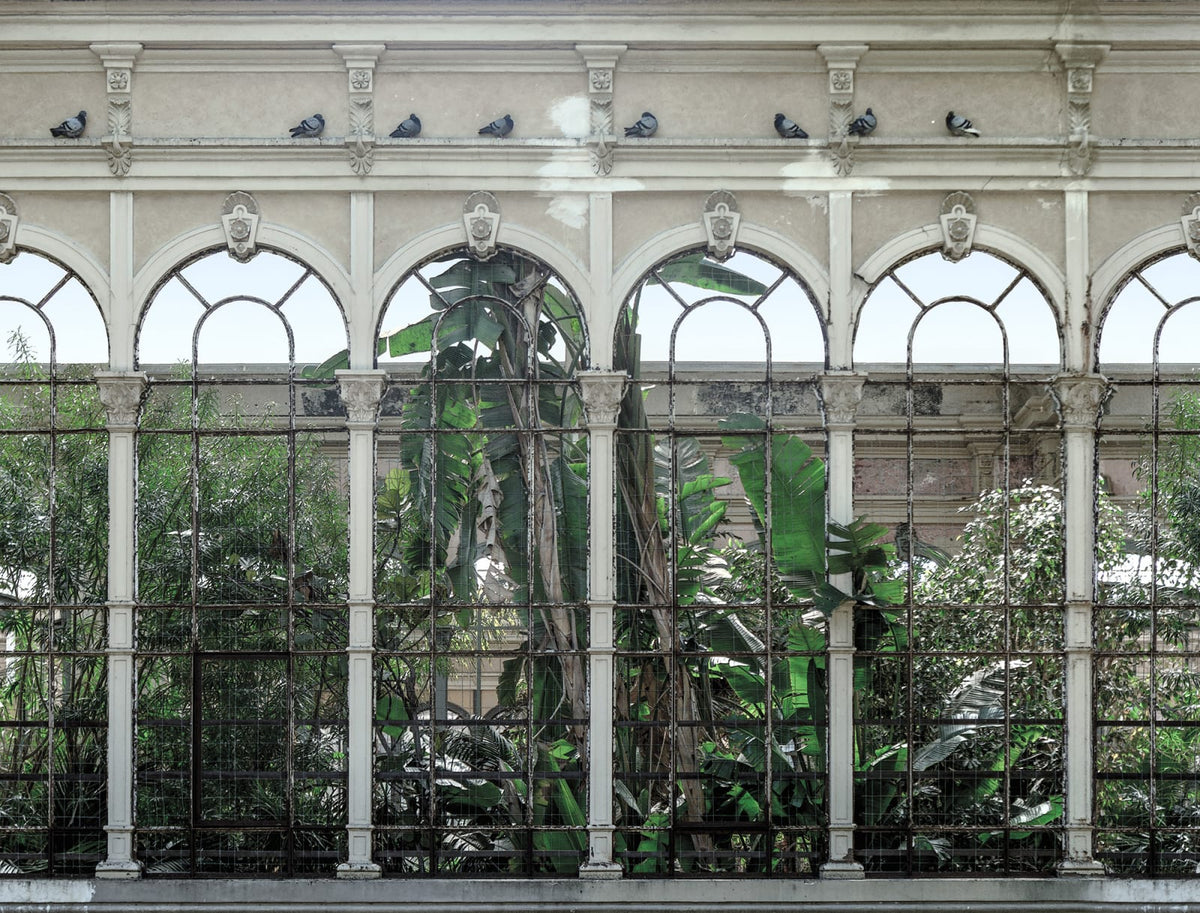 Tapetti Dove Gardens