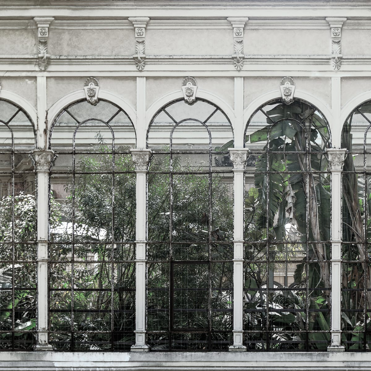 Tapetti Dove Gardens, White