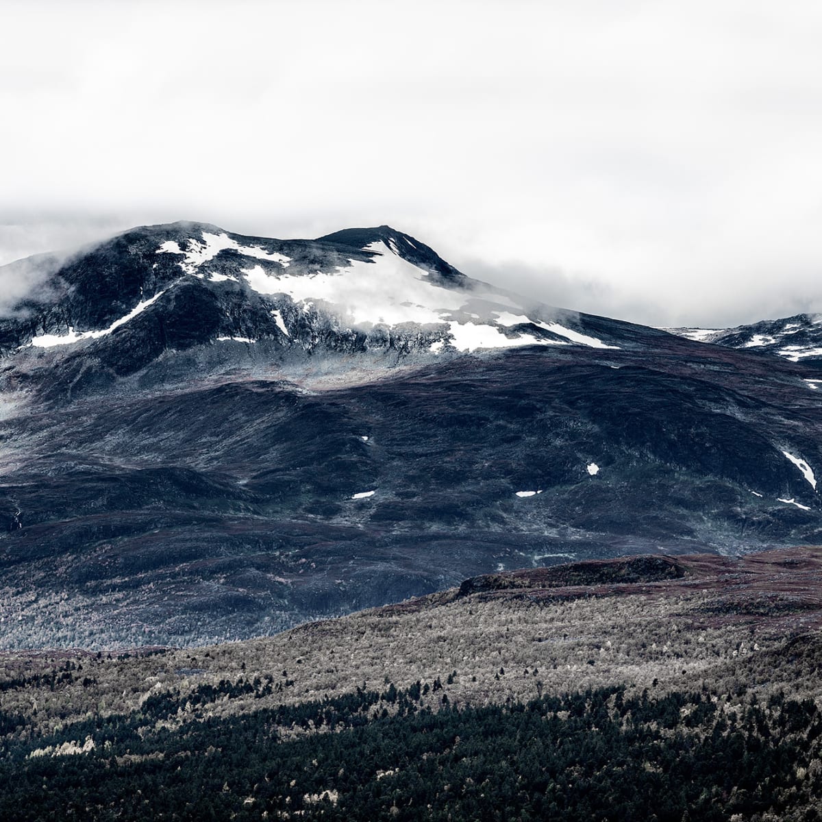 Tapetti The North