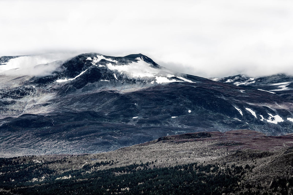Tapetti The North