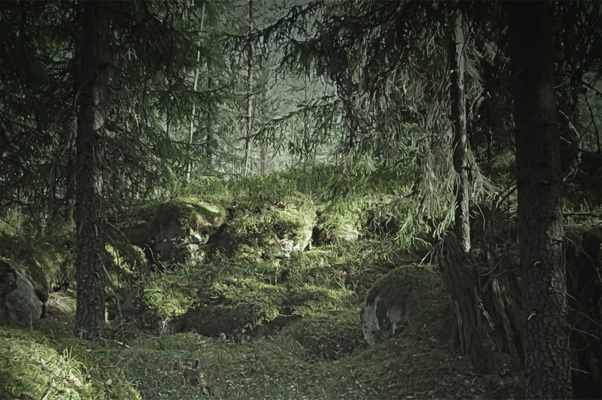 Tapetti Virgin Forest