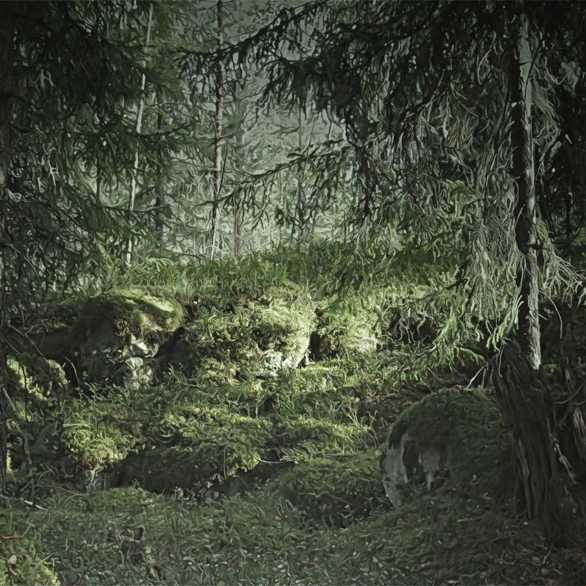 Tapetti Virgin Forest