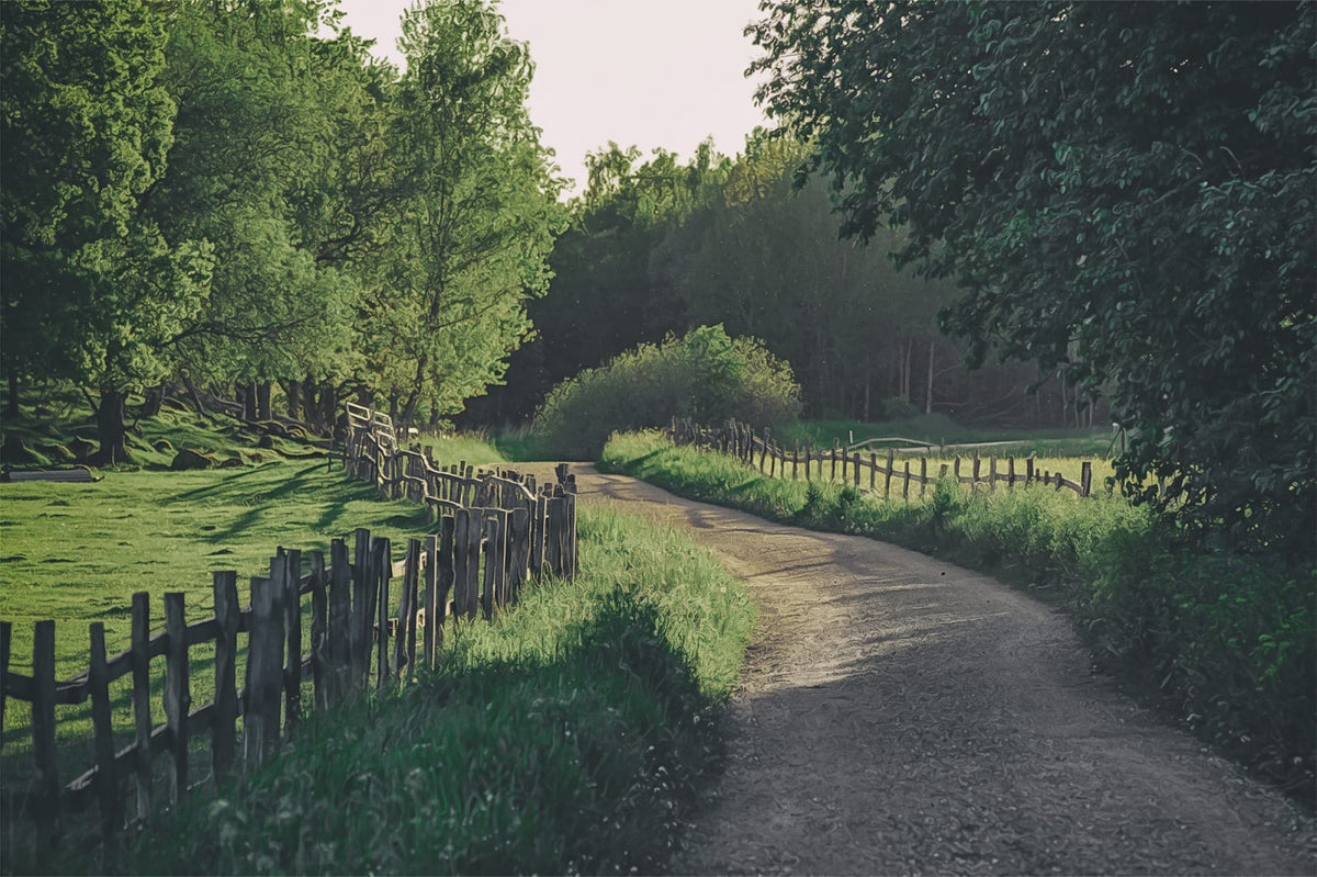 Tapetti Wooden Fence