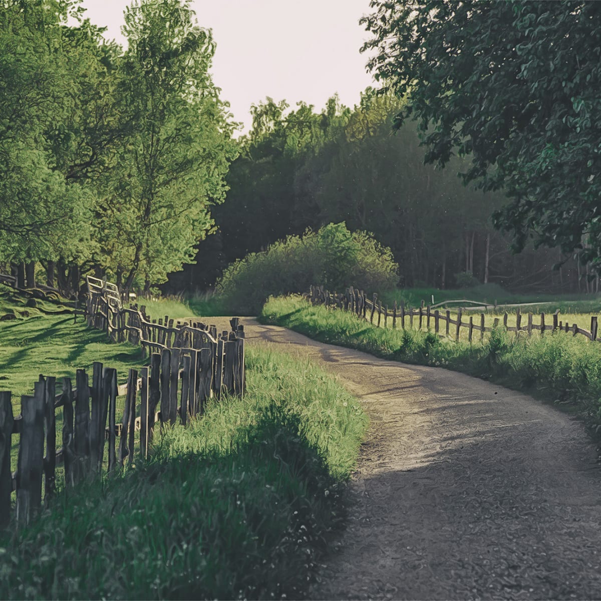 Tapetti Wooden Fence