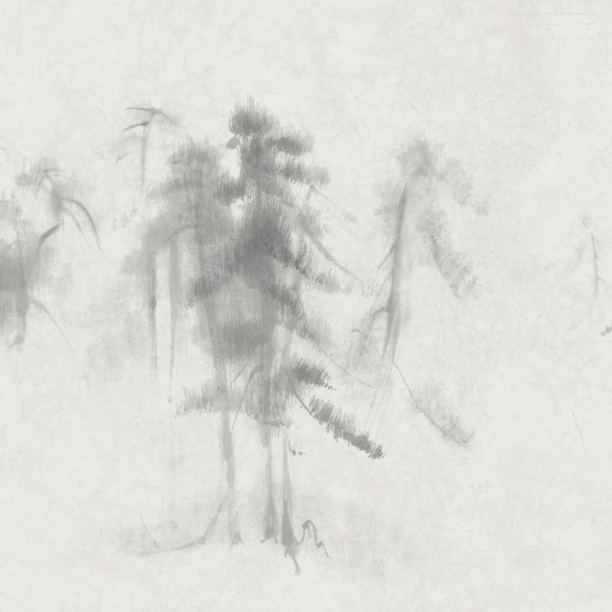 Tapetti Asian Pines