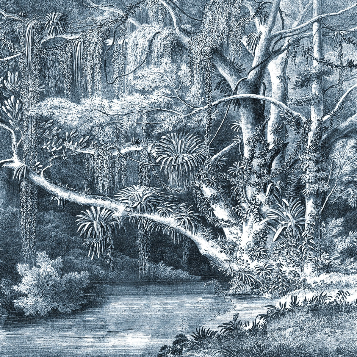 Tapetti Secret Well, Frost
