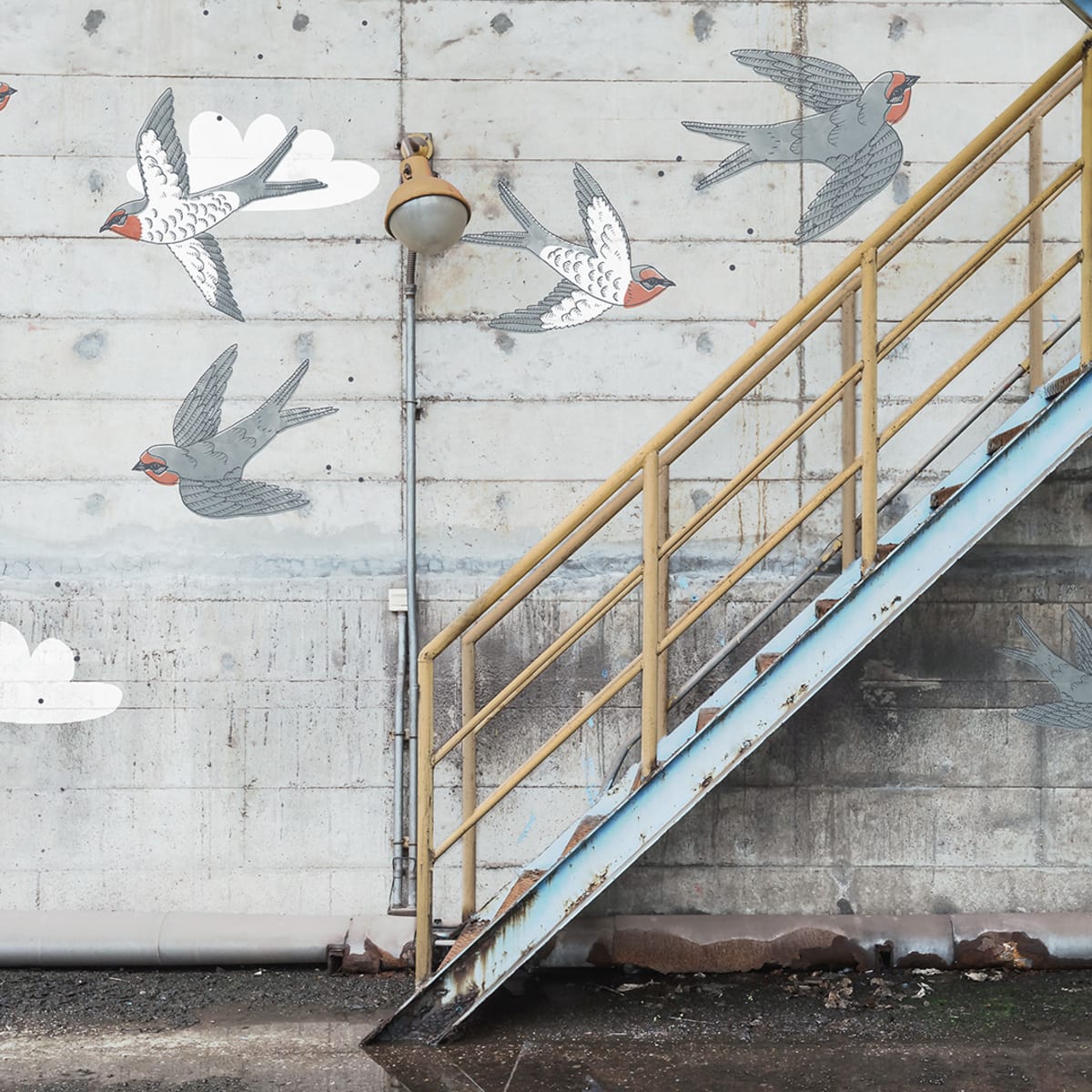 Tapetti Stairway Graffiti, Swallow