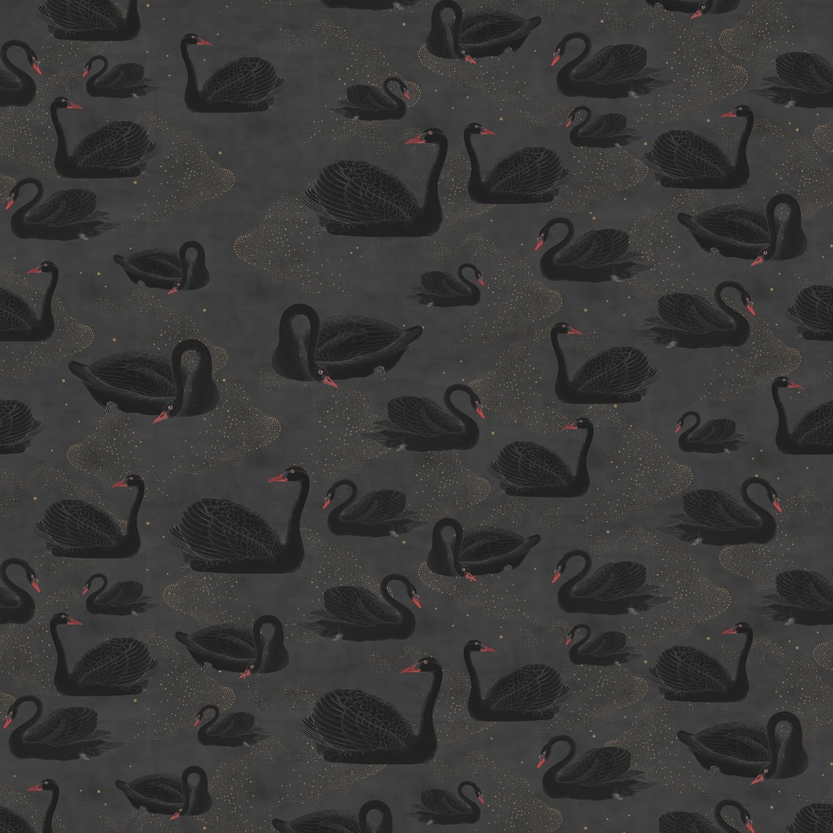 Tapetti Cygne, Noir
