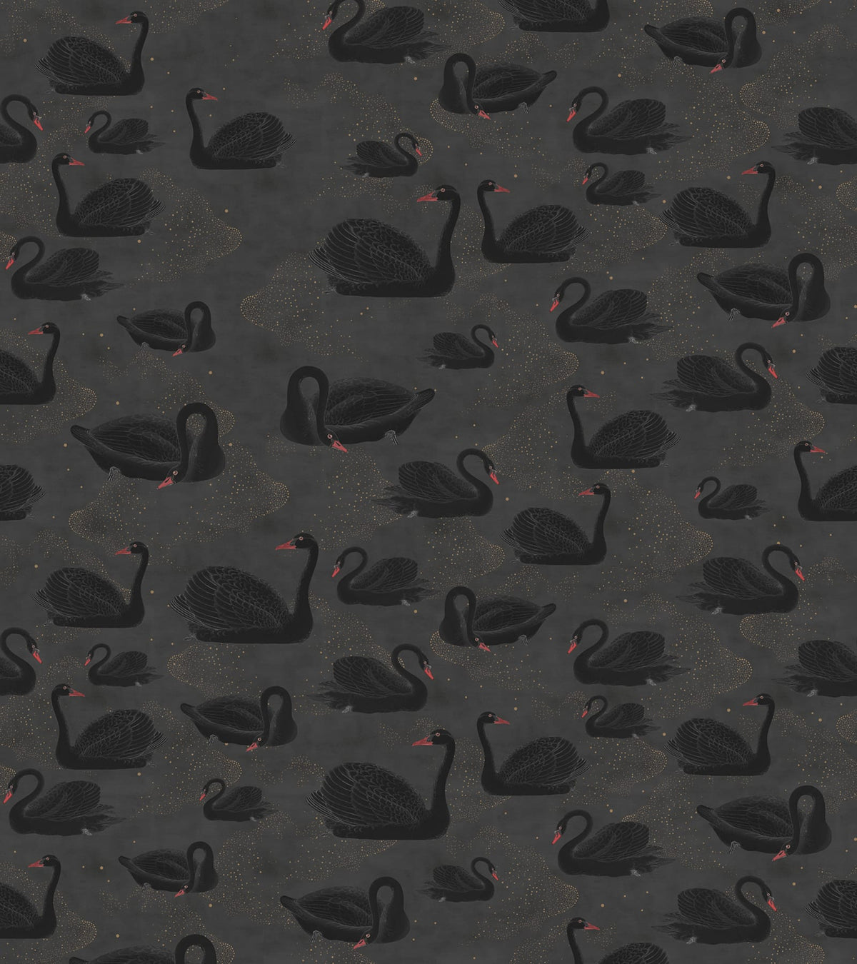 Tapetti Cygne, Noir