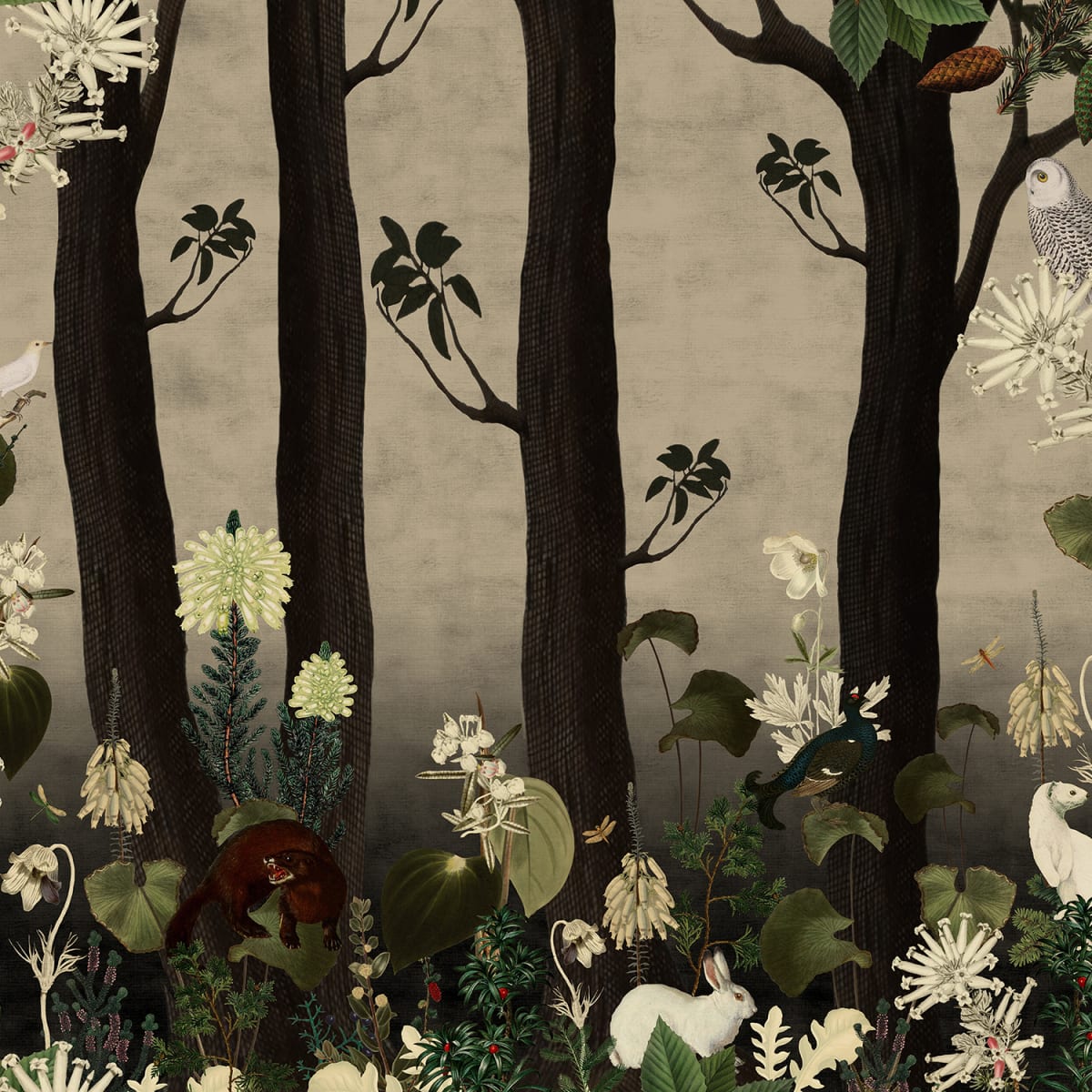 Tapetti Rabbit Hole