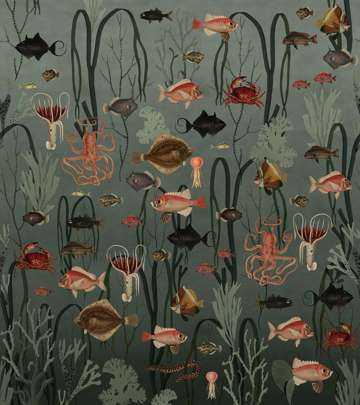 Tapetti Aquatic Life, Oxygen