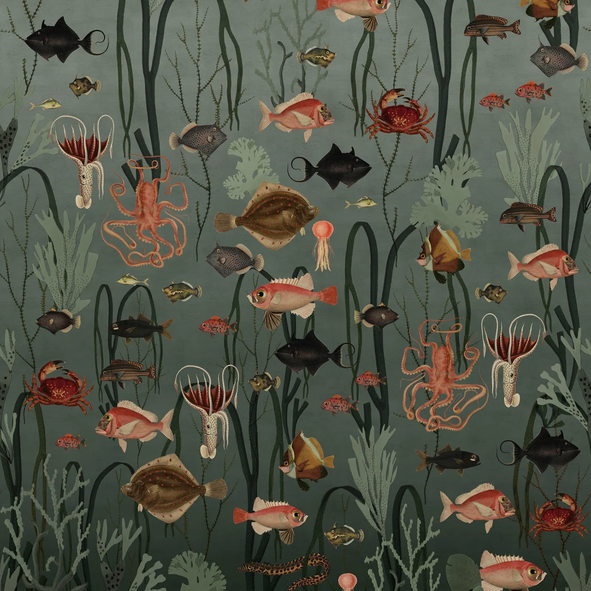 Tapetti Aquatic Life, Oxygen