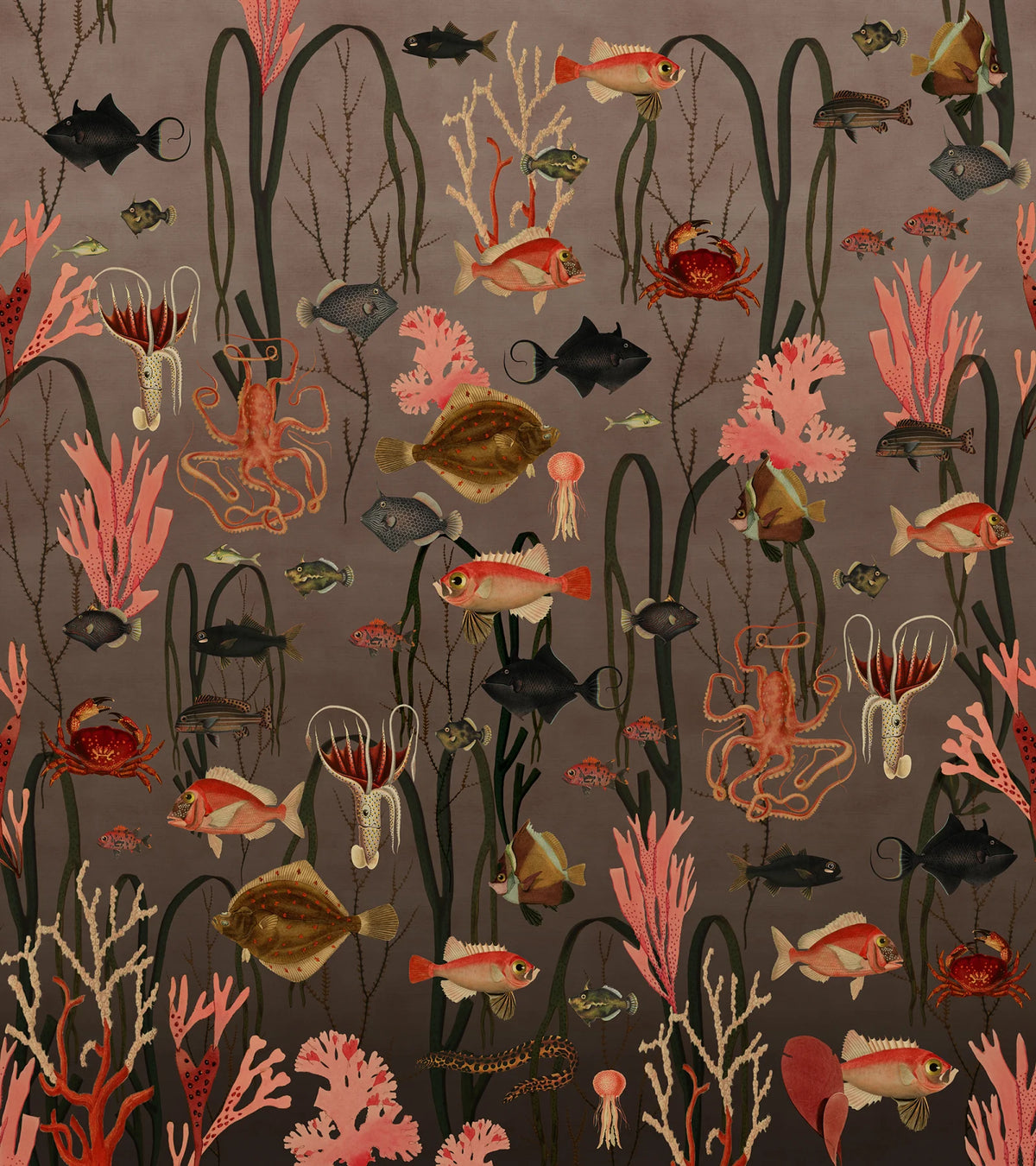 Tapetti Aquatic Life, Coral