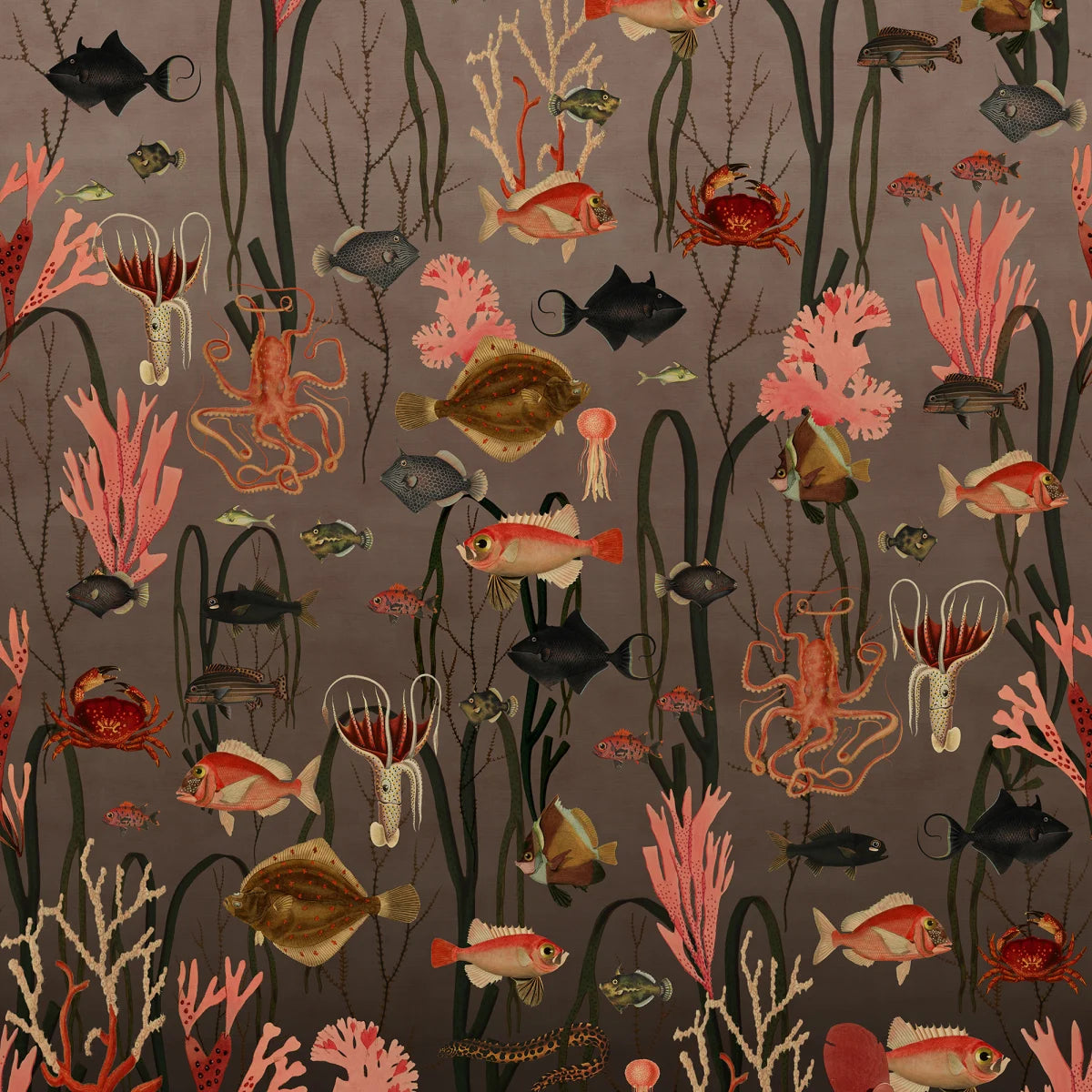 Tapetti Aquatic Life, Coral