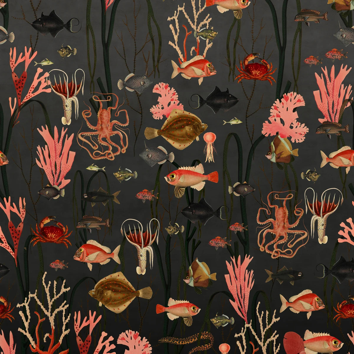 Tapetti Aquatic Life, Shadows