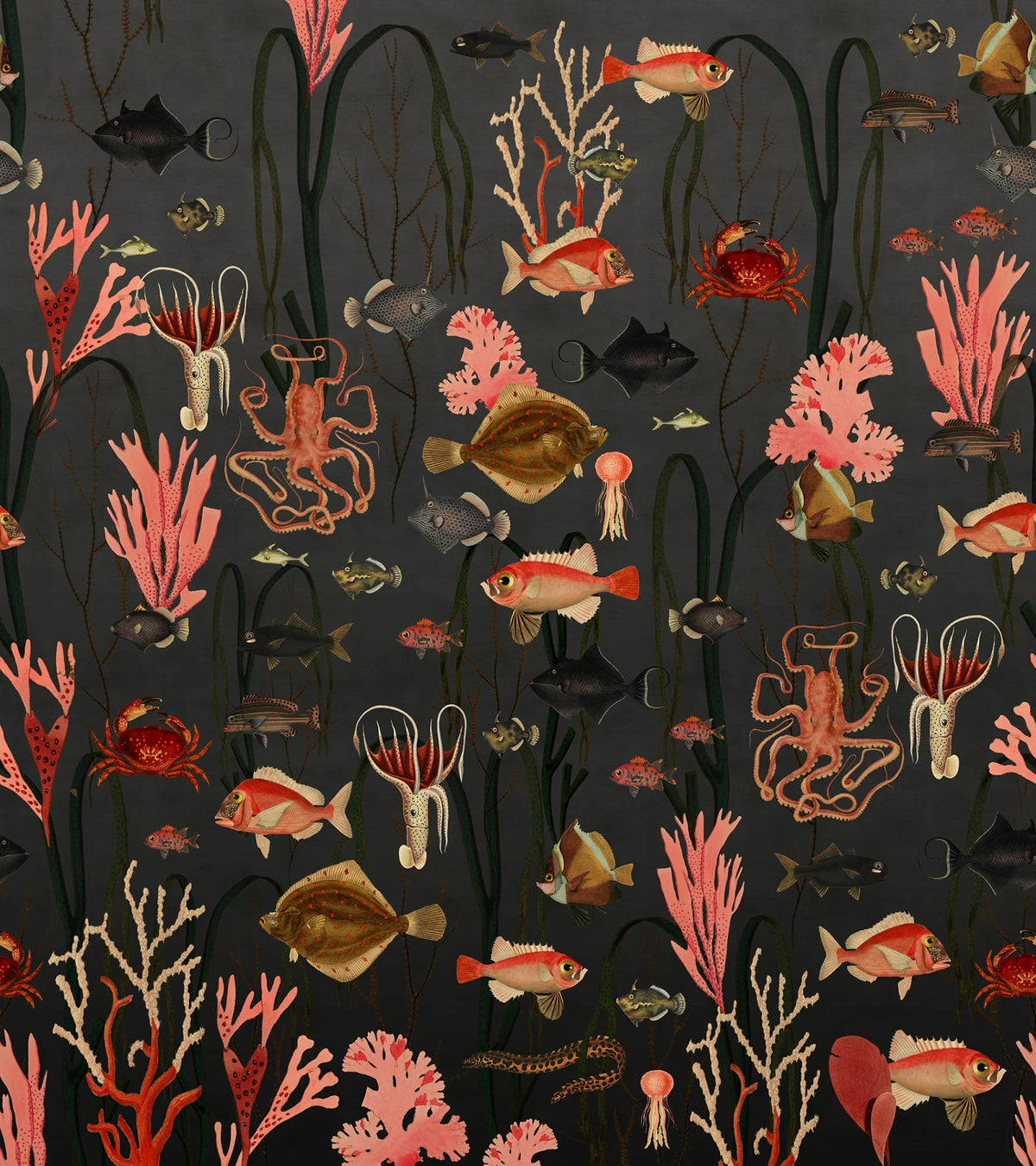Tapetti Aquatic Life, Shadows