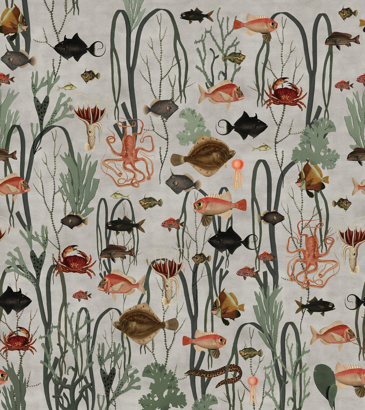 Tapetti Aquatic Life