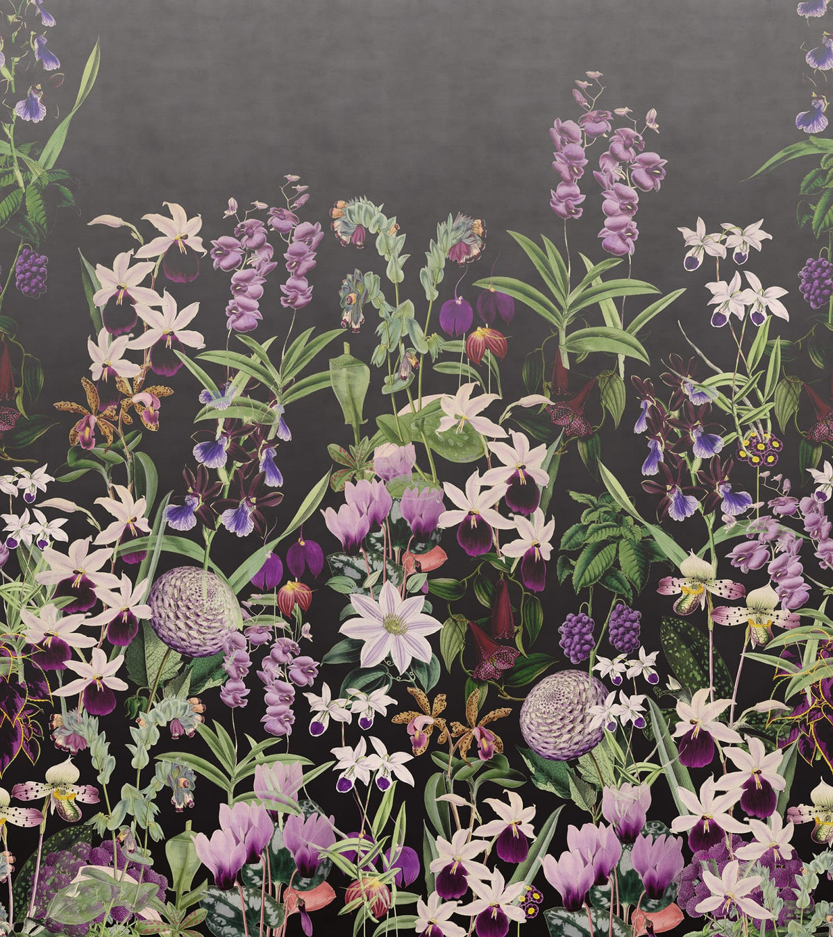 Tapetti Alices Garden, Midnight