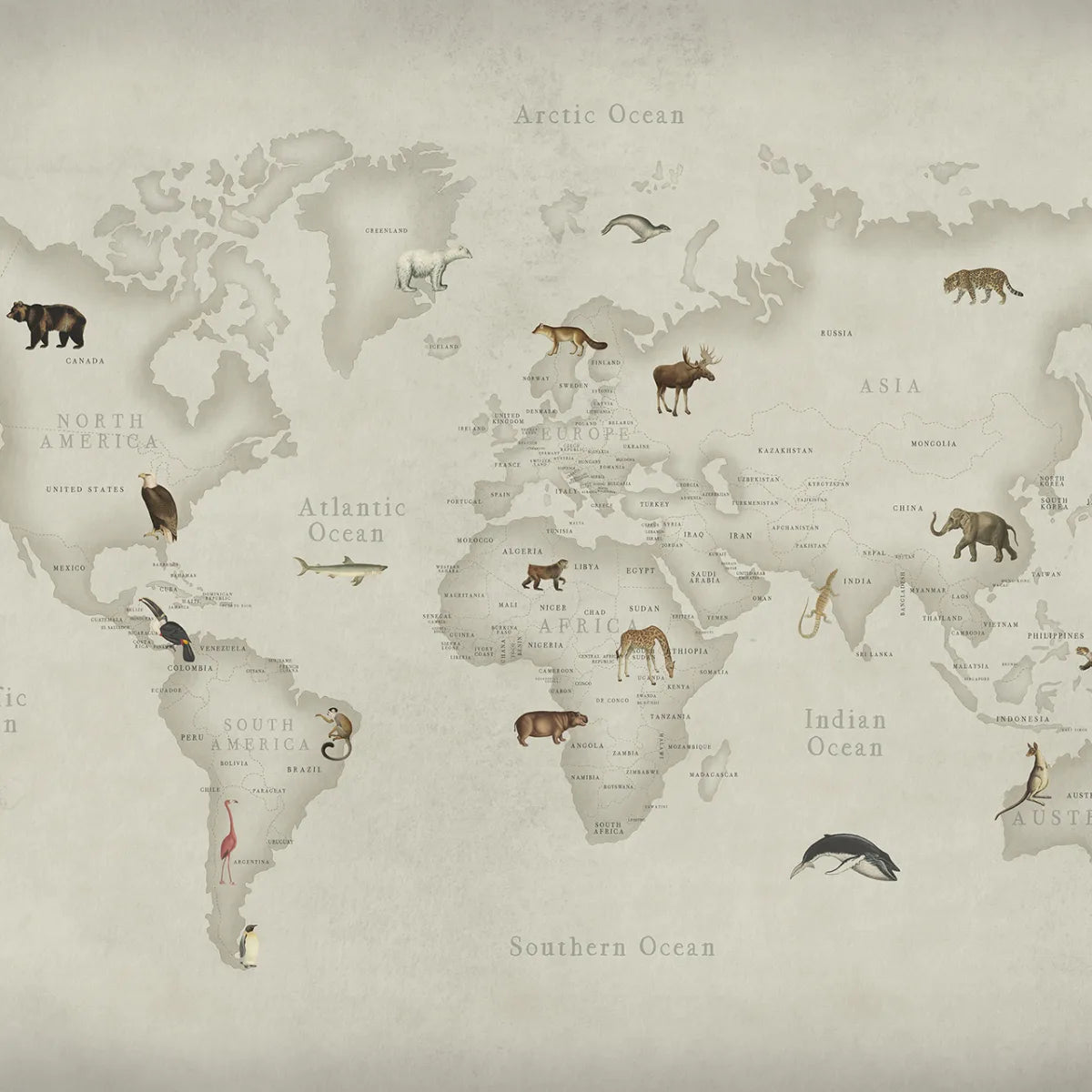 Tapetti Animal World