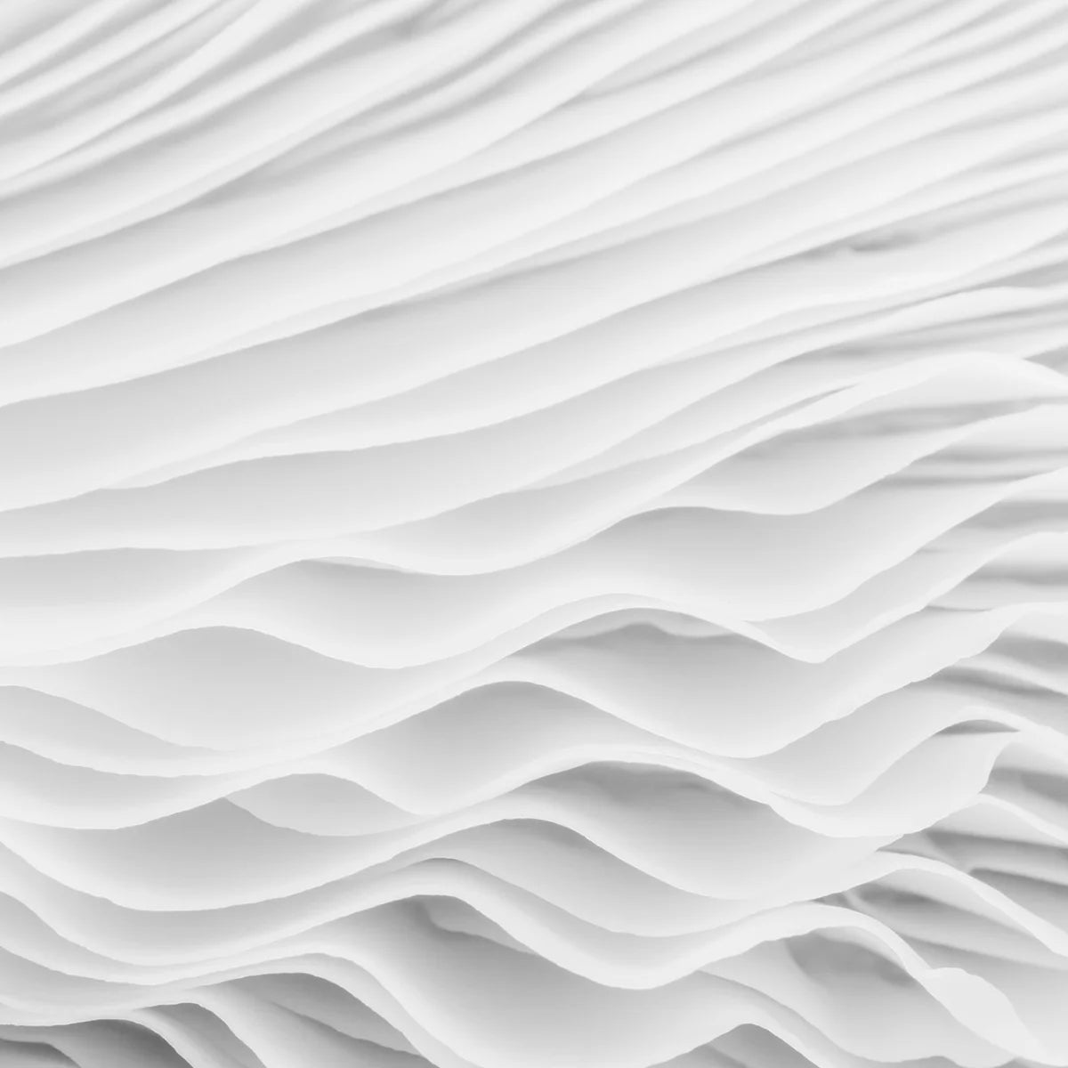 Tapetti Flounce
