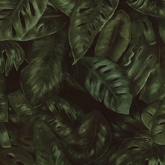 Tapetti Amazon, Fern