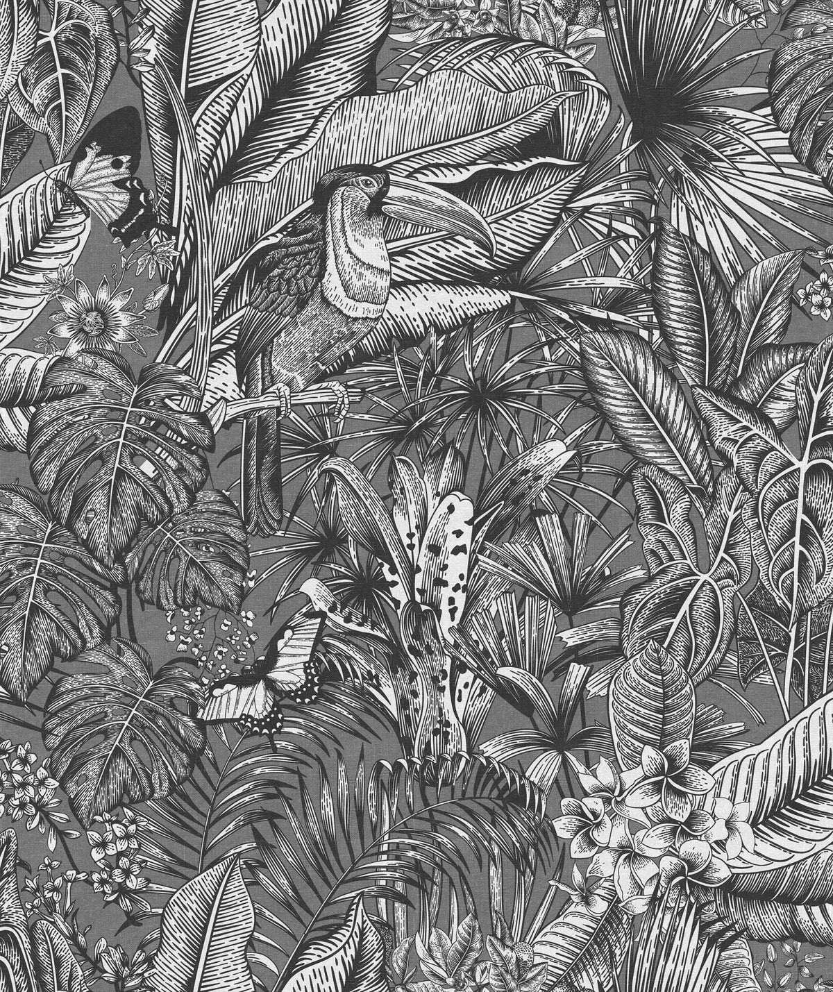 Tapetti Furada, Graphite