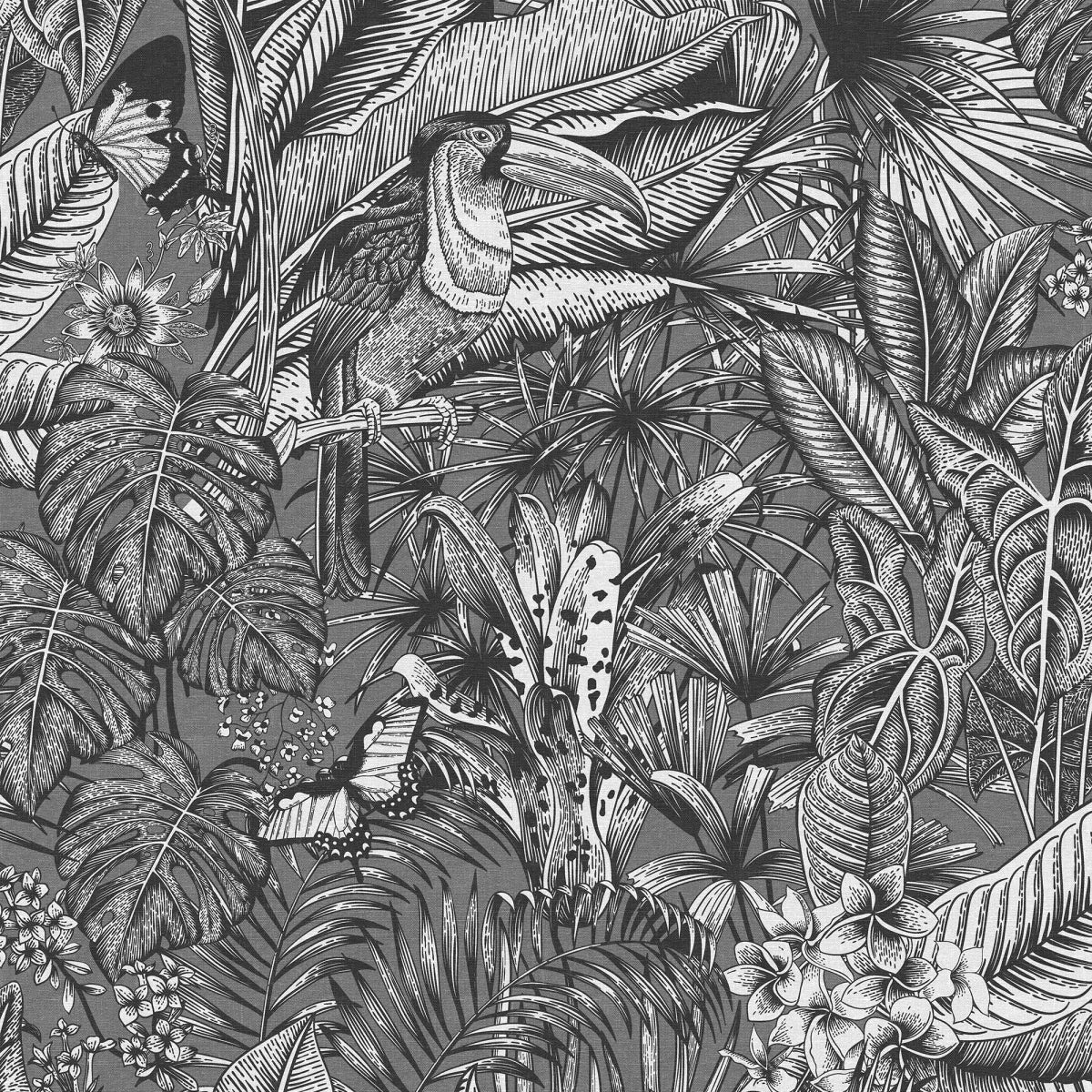 Tapetti Furada, Graphite