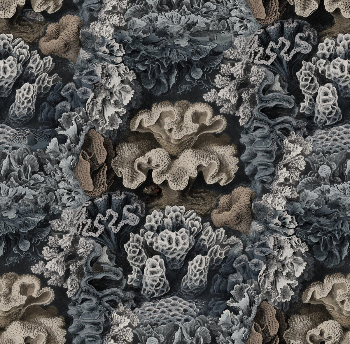 Tapetti Aquila, Teal