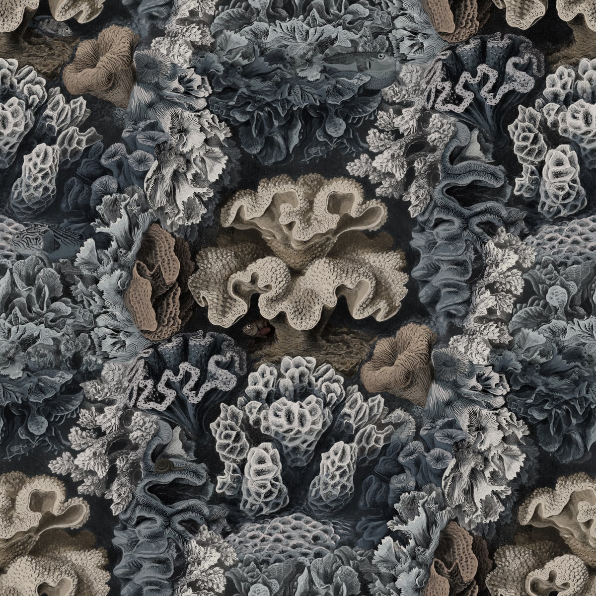 Tapetti Aquila, Teal