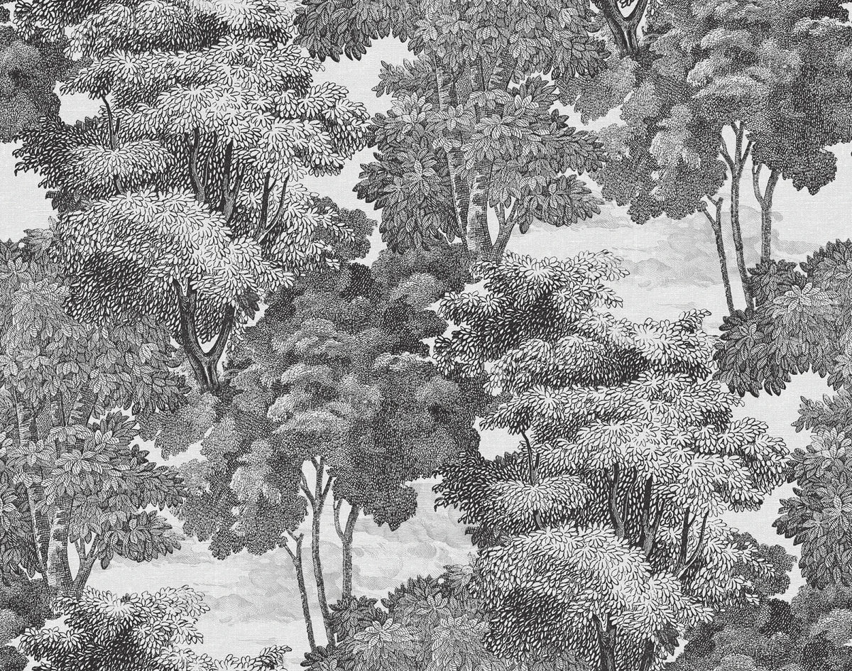 Tapetti Saint Sebastian, Graphite