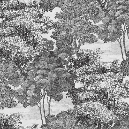 Tapetti Saint Sebastian, Graphite