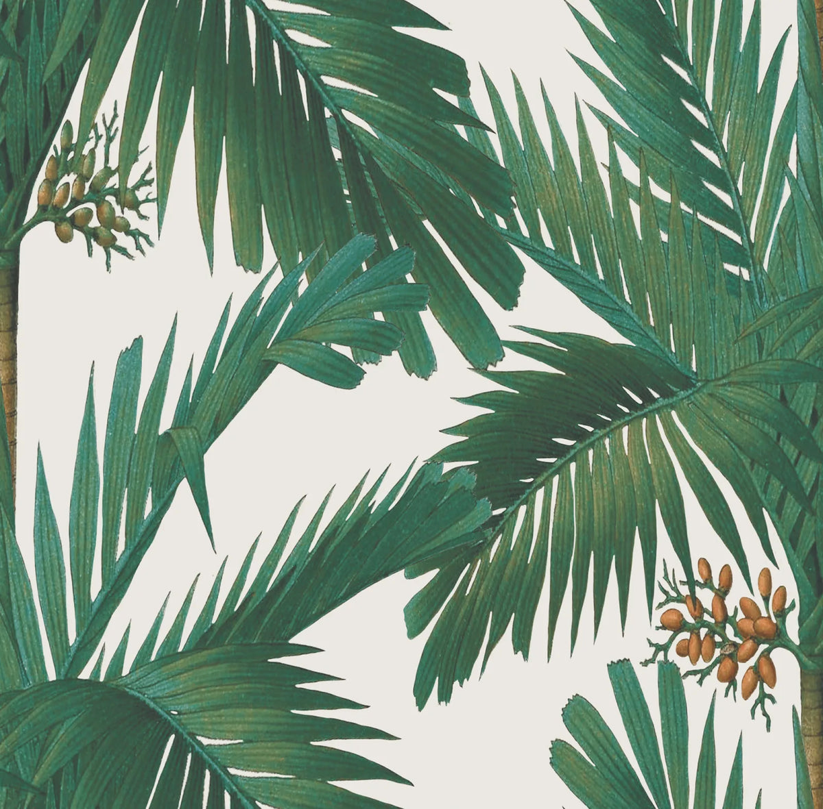 Tapetti Palm Spring, Pearl