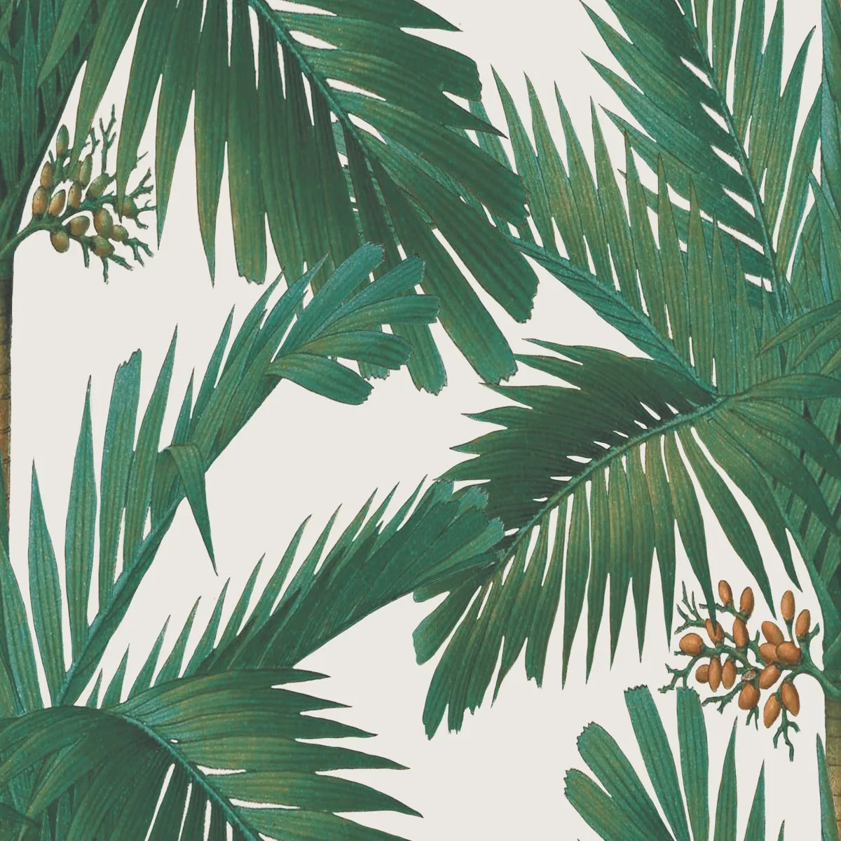 Tapetti Palm Spring, Pearl