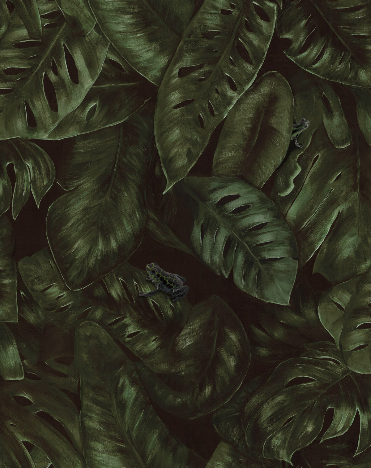 Tapetti Cameroon, Fern