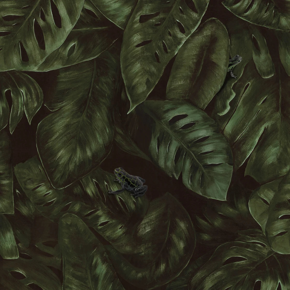 Tapetti Cameroon, Fern