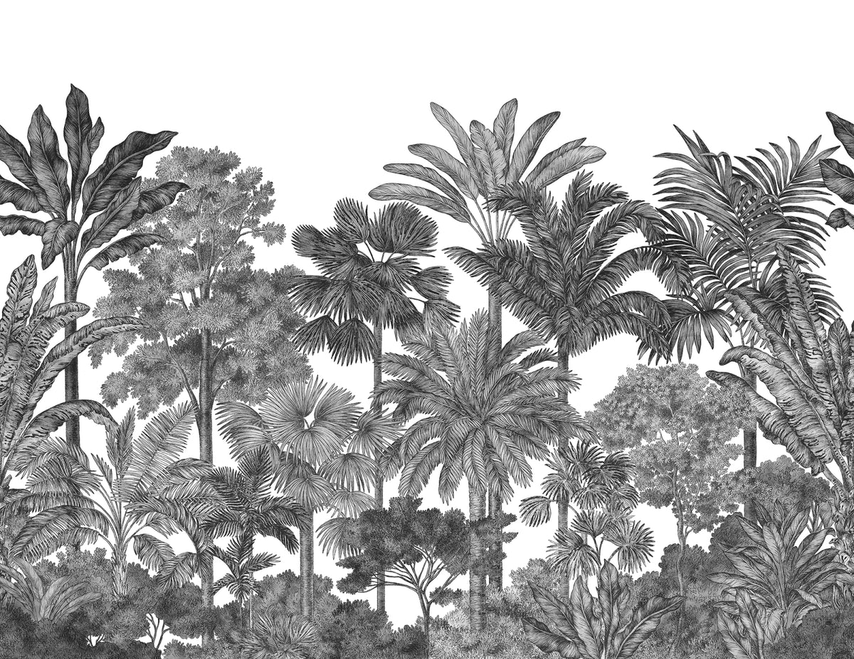 Tapetti Tropical Bellewood, Graphite