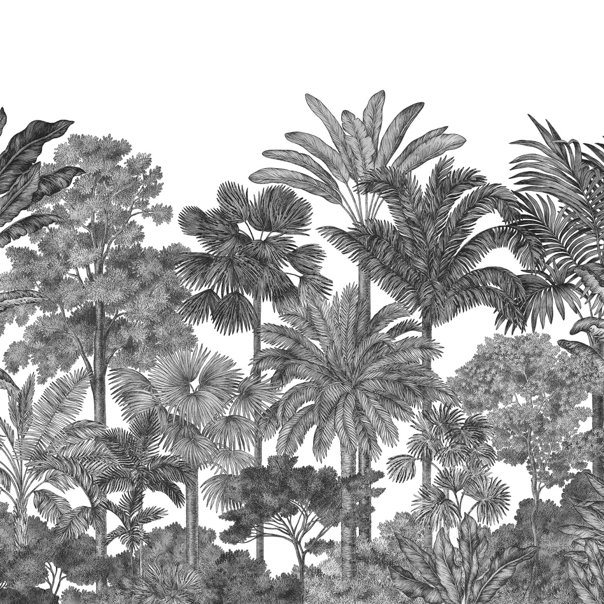 Tapetti Tropical Bellewood, Graphite