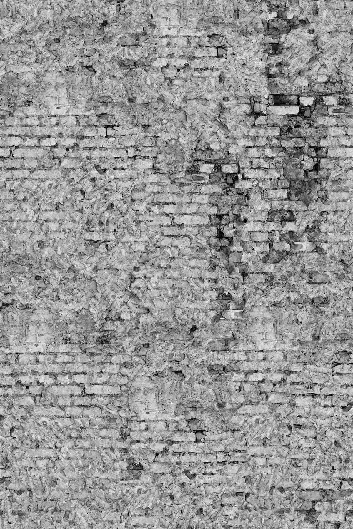 Tapetti Barcelona, Gray