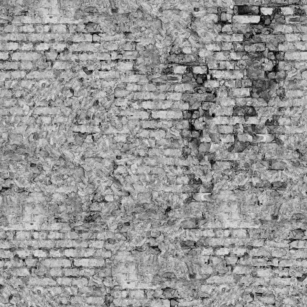 Tapetti Barcelona, Gray